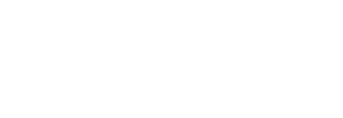 Blueprint to begin